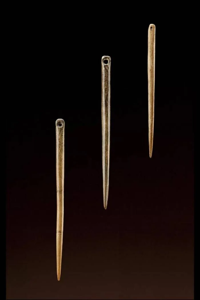 These bone and ivory needles discovered in China are between 23,000 and 30,000 years old. Photo: Smithsonian Institution