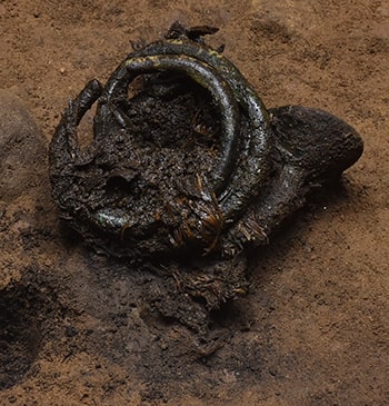 Detail photograph showing organic plant binding intertwined with the artifacts. Photo: GUARD Archaeology