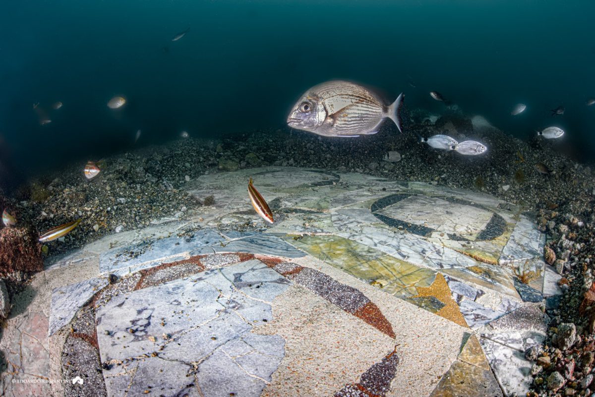 The recently restored portion of the marble floor of the protiro villa in the submerged park of Baia. Photo: Edoardo Ruspantini