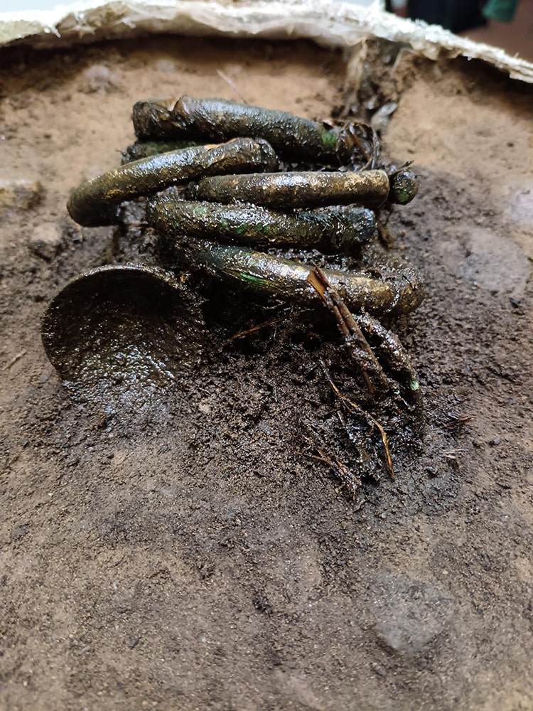 Detail photograph of organic material within cup-ended penannular bracelet cup end. Photo: GUARD Archaeology