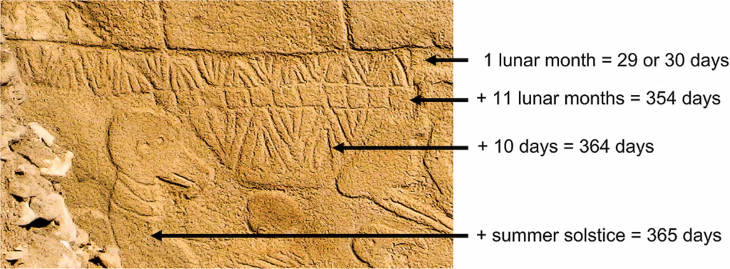 Detail of pillar 43 of Göbekli Tepe. Photo: Dr Martin Sweatman