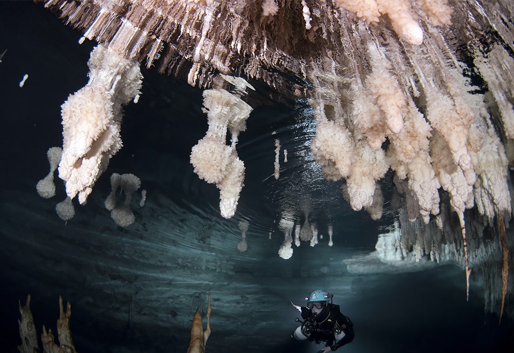 Bogdan Onac studies the phreatic overgrowths seen in this photo. They grow exactly at sea level and offer a more accurate reconstruction of past sea level history. He used these to determine the age of the submerged bridge.  Photo: M.À. Perelló