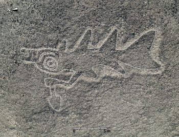 The photo shows a newly discovered geoglyph of an orca holding a knife, with outlining done by the Yamagata University Institute of Nasca. Image Credit: Instituto Universitario Yamagata de Nazca