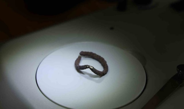  A silver ring presumed to be used for babies dating back to 7,600 years ago.