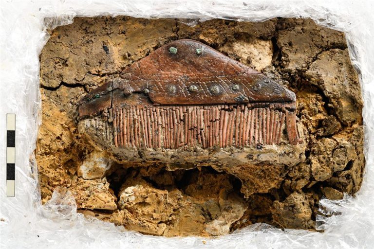 A well-preserved comb discovered in a 4th-century rare Alemannic ...