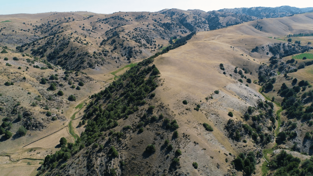 The discoveries were made possible with a remote-sensing tool known as lidar, which uses reflected light to create 3D mappings of the environment. Photo: Michael Frachetti