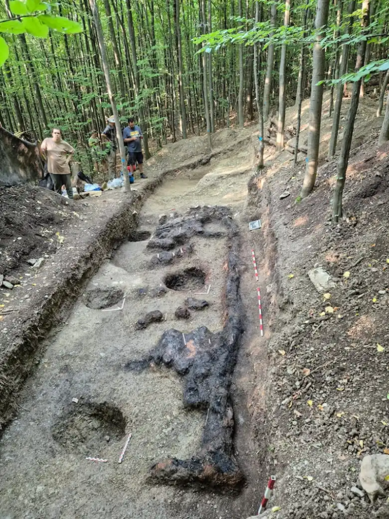 Excavations at the discovery site. Photo: ELTE BTK Régészettudományi Intézet blogja (ELTE BTK Archaeological Institute blog)