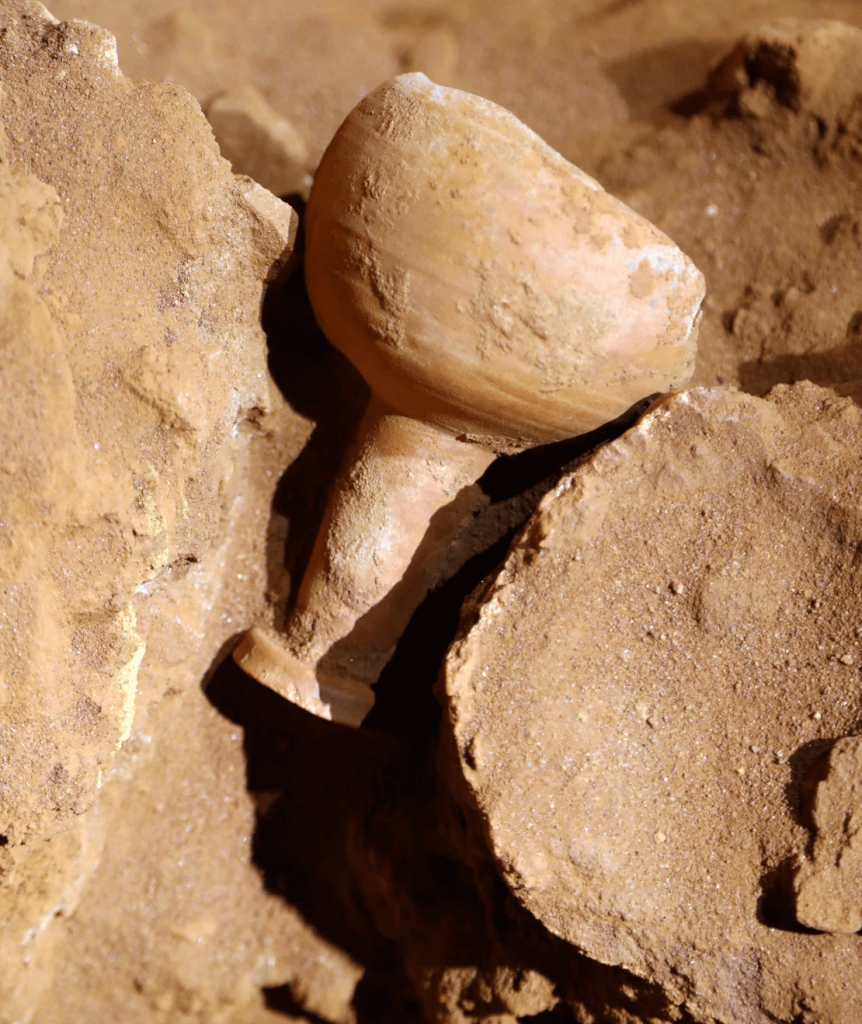 Within the tomb beneath the Treasury, archaeologists found a ceramic vessel resembling the Holy Grail. Photo: CNN