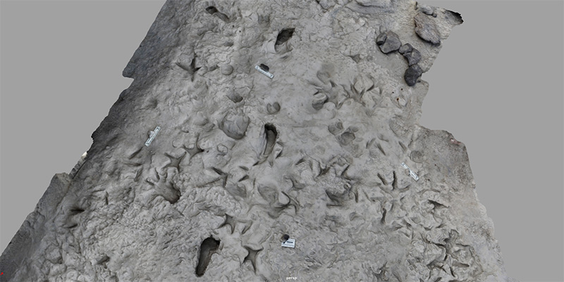 A 3D computerized model of the surface of the area near Lake Turkana in Kenya shows fossil footprints of Paranthropus boisei (vertical footprints) with separate footprints of Homo erectus forming a perpendicular path. Image Credit: Kevin Hatala/Chatham University