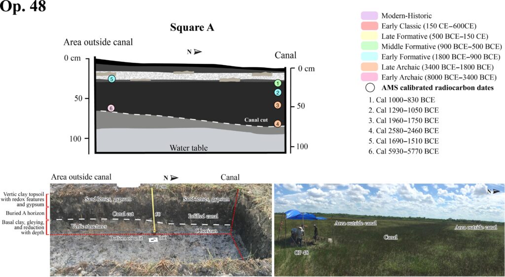 Cross section showing associated calibrated radiocarbon dates and photos of excavations with geomorphological descriptions. Image credit: BREA project- Journal Science Advances