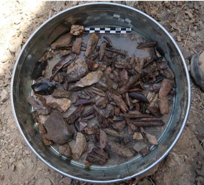 Bones and stone artifacts discovered during the excavations at Soii Havzak. Photo Credit: Yossi Zaidner and Team