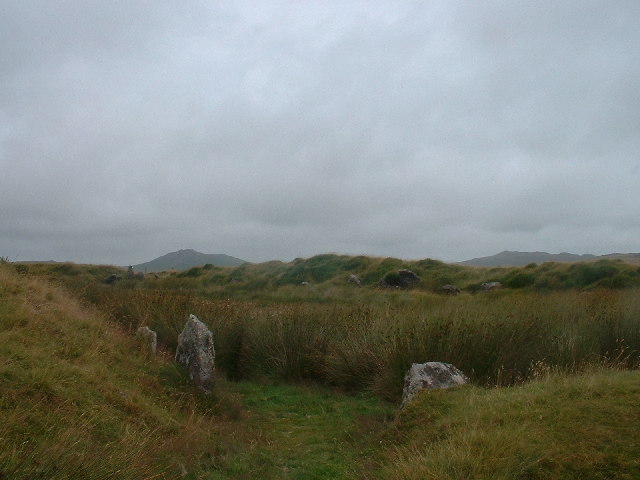 Historic England has designated the site as "at risk" due to the growth of vegetation surrounding it. It contains 56 standing stones that are partially buried, leaning, or on the ground. Photo: Wikipedia Commons