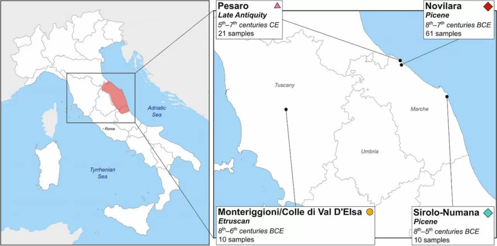 Location of the sites analyzed in this study. On the left, a map of Italy with the Picene area is highlighted in red. On the right, the magnification of Central Italy shows the location, the period, and the number of samples for each necropolis analyzed in this study. Image Credit: F. Ravasini et al.