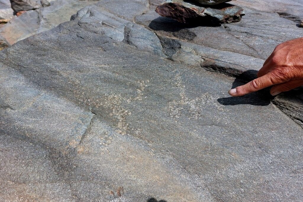 Some of the petroglyphs found at over 3000 meters in the Lombardy Alps. Image Credit: Soprintendenza Archeologia, Belle Arti e Paesaggio delle province di Como, Lecco, Monza e Brianza, Pavia, Sondrio e Varese / Regione Lombardia