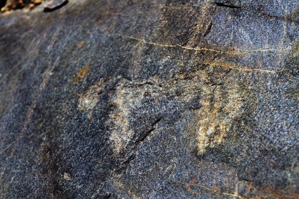 Some of the petroglyphs found at over 3000 meters in the Lombardy Alps. Image Credit: Soprintendenza Archeologia, Belle Arti e Paesaggio delle province di Como, Lecco, Monza e Brianza, Pavia, Sondrio e Varese / Regione Lombardia