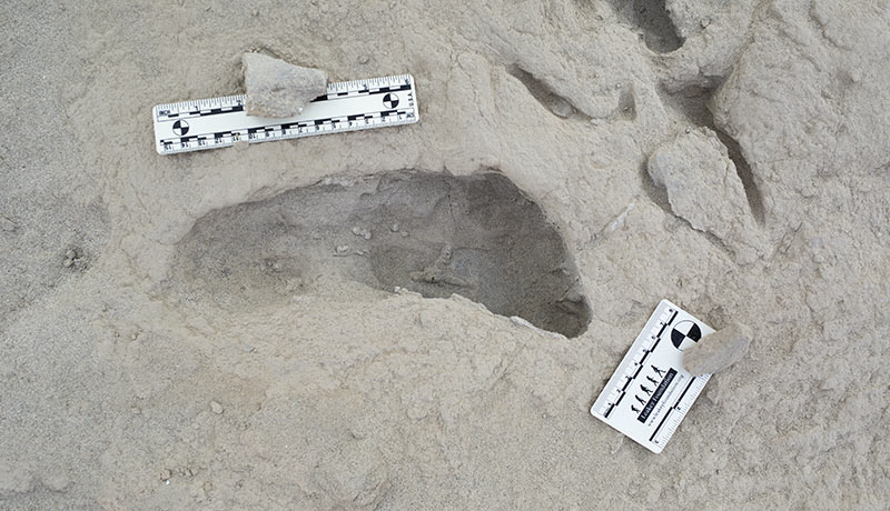 A footprint hypothesized to have been created by a Paranthropus boisei individual. Image Credit: Kevin Hatala/Chatham University