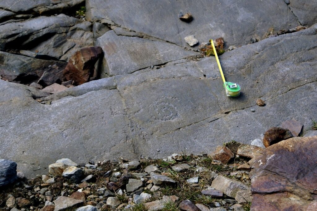 Some of the petroglyphs found at over 3000 meters in the Lombardy Alps. Image Credit: Soprintendenza Archeologia, Belle Arti e Paesaggio delle province di Como, Lecco, Monza e Brianza, Pavia, Sondrio e Varese / Regione Lombardia