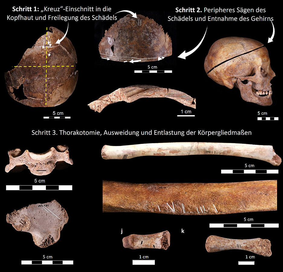 Steps of the embalming procedure and selection of bone parts showing signs of the operation. Image Credit: © C. Partiot/ÖAI/ÖAW/M. Bessou/CNRS