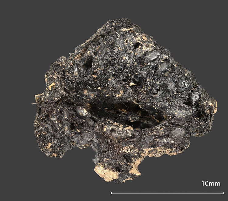 The charred fig from the Drumanagh excavation. This image was taken at a Historic England laboratory using an AHRC-funded Keyence VHX7000 3-D digital microscope at x 30 magnification Credit: Historic England