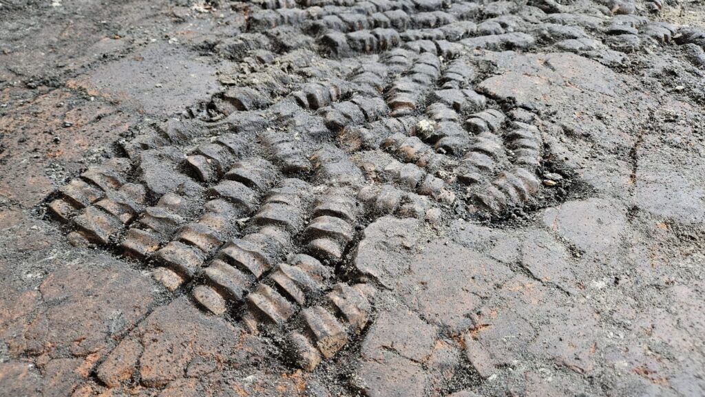 A close-up of the bone floor in a building on the Achterdam, Alkmaar center. Photo: Team Archaeology, municipality of Alkmaar