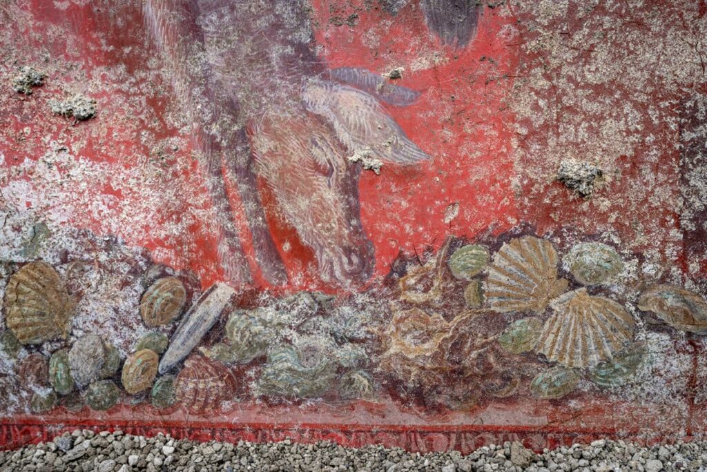 Detail of one of the frescoes discovered in Pompeii. Credit: Archaeological Park of Pompeii