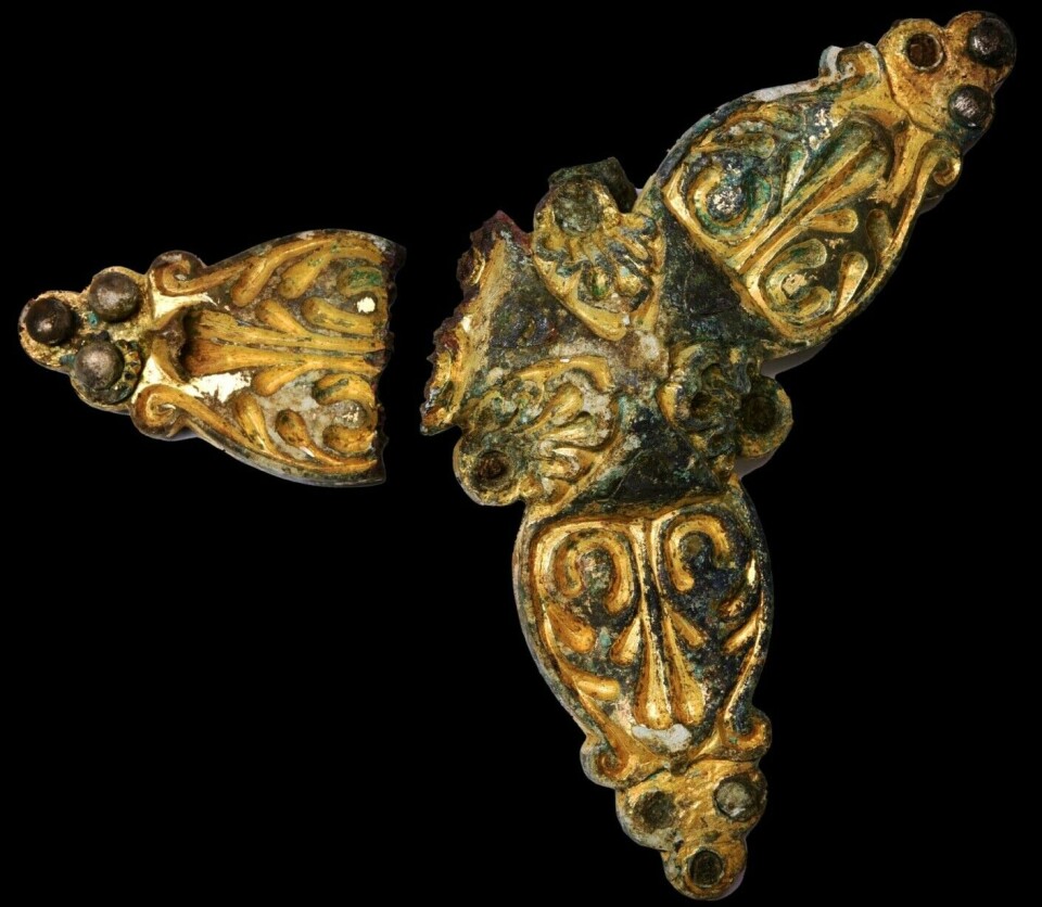 Trefoil brooches were a popular accessory during the Viking Age. The one discovered in the graves at Skumsnes was originally a Carolingian sword belt fitting, repurposed into jewelry. Credit: University Museum of Bergen