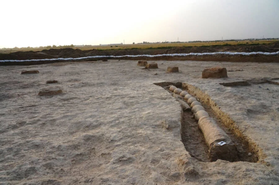 A pillared structure unearthed at Shakhi Kora. Credit: Antiquity, https://doi.org/10.15184/aqy.2024.189