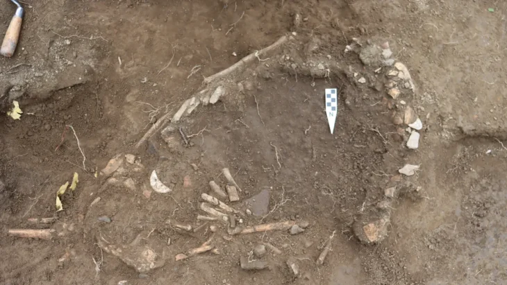 The burial of a pregnant woman and fetus from Ecuador's Manteño period may have been a sacrifice. Image credit: Sara Juengst / UNC Charlotte