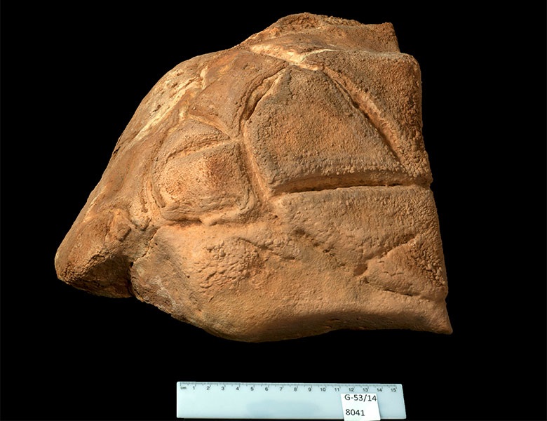 An engraved rock with a carved symbolic turtle was placed in a niche in the ritual space. Credit: Case Western Reserve University