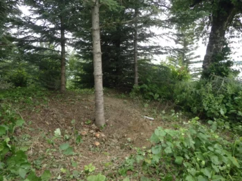 A depression around the cache where soil samples were taken during the archeologists’ visit in summer 2024. Credit: U.S. Air Force and Northern Land Use Research Alaska