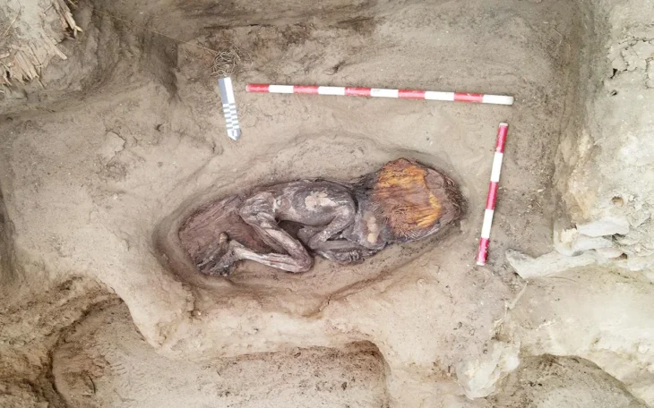Remains of a 5000-year-old woman from the Caral civilization. Credit: Ministry of Culture of Peru (Ministerio de Cultura del Perú)