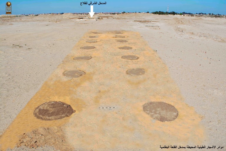The remains of over 500 clay planting circles indicate a tree-lined entrance to the Ptolemaic fortress. Credit: Egypt’s Ministry of Tourism and Antiquities