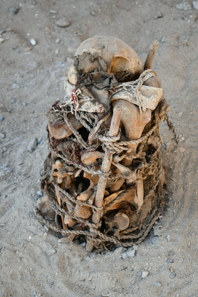 Excavated burial of one of the killed individuals. Credit: Prof. Józef Szykulski