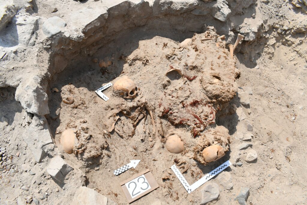 Mass grave with 24 burials; bodies wrapped in shrouds. Credit: Prof. Józef Szykulski