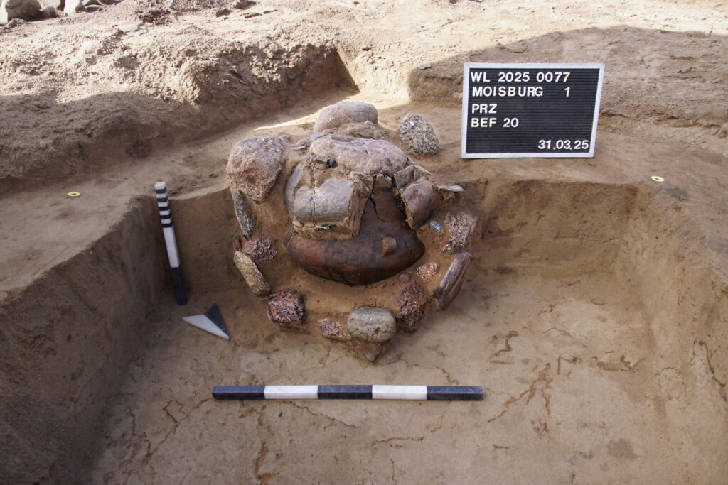 This urn was additionally covered with a large bowl placed over it. Credit: Archaeological Museum Hamburg / BU