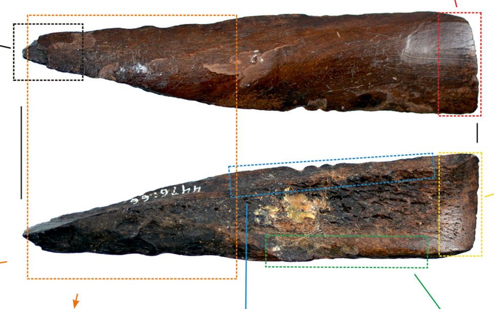 Different uses leave distinct microscopic traces on bone tools. Source: Grzegorz Osipowicz jt/Archaeological and Anthropological Sciences