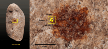 Credit: Archaeological and Anthropological Sciences (2025). DOI: 10.1007/s12520-025-02243-1