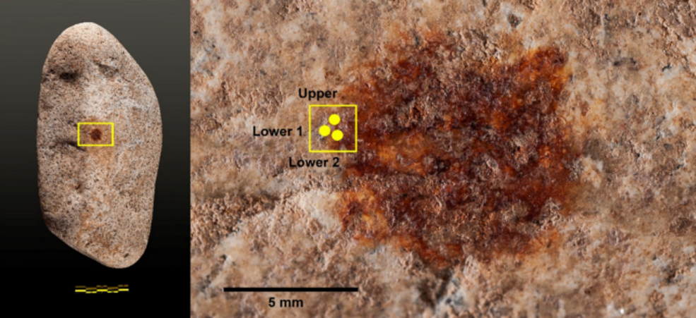 Credit: Archaeological and Anthropological Sciences (2025). DOI: 10.1007/s12520-025-02243-1