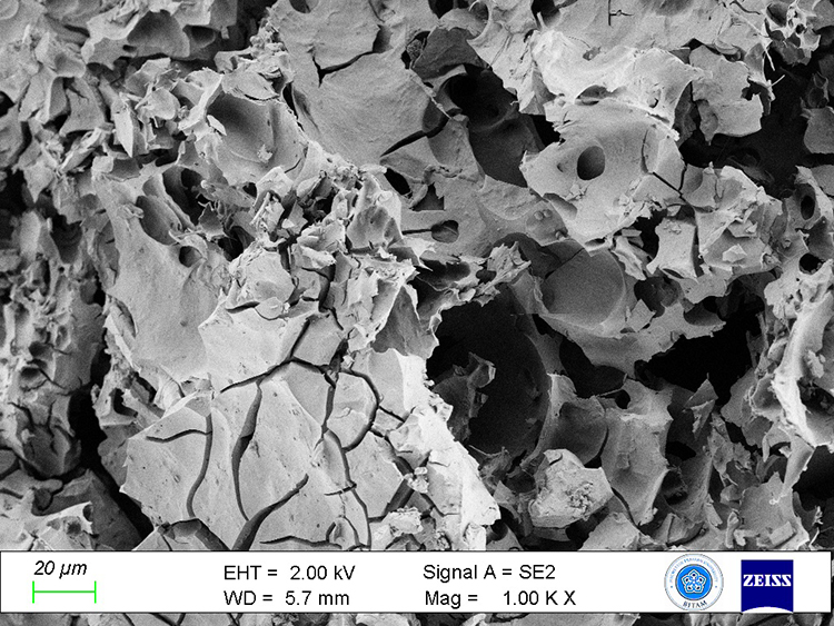 Microscopic analysis of the ancient bread reveals its internal structure and ingredients, including emmer wheat and lentils. Credit: Küllüoba Excavation Directorate