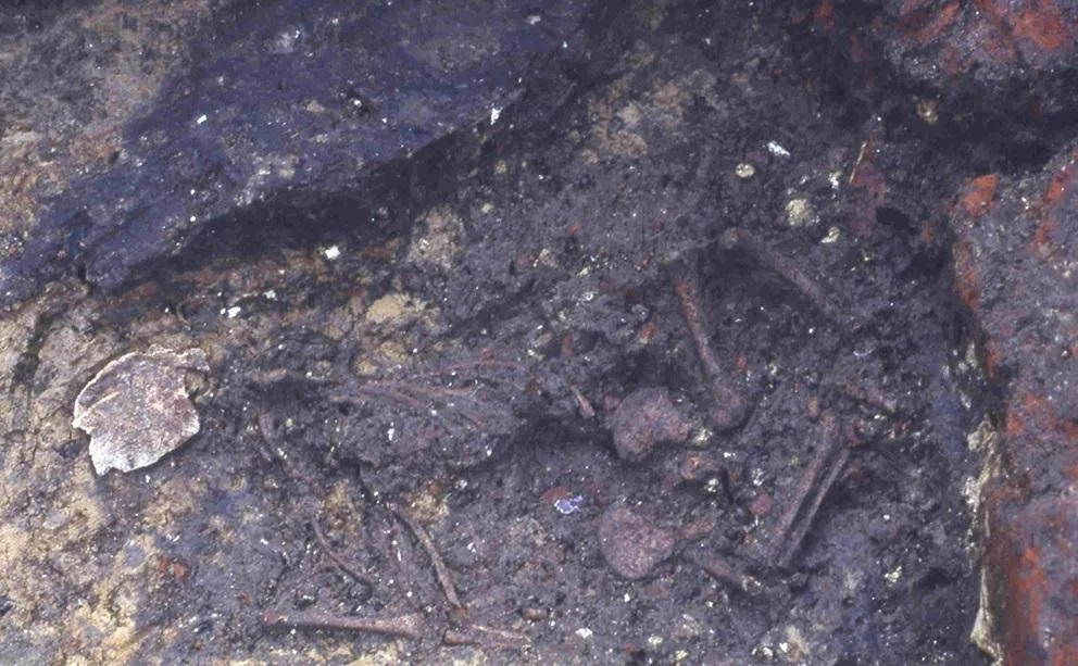 Detail of the buried infant (AA.OV/161). Credit: Photo by Flanders Heritage Agency / Poulain et al., Archaeol Anthropol Sci (2025)