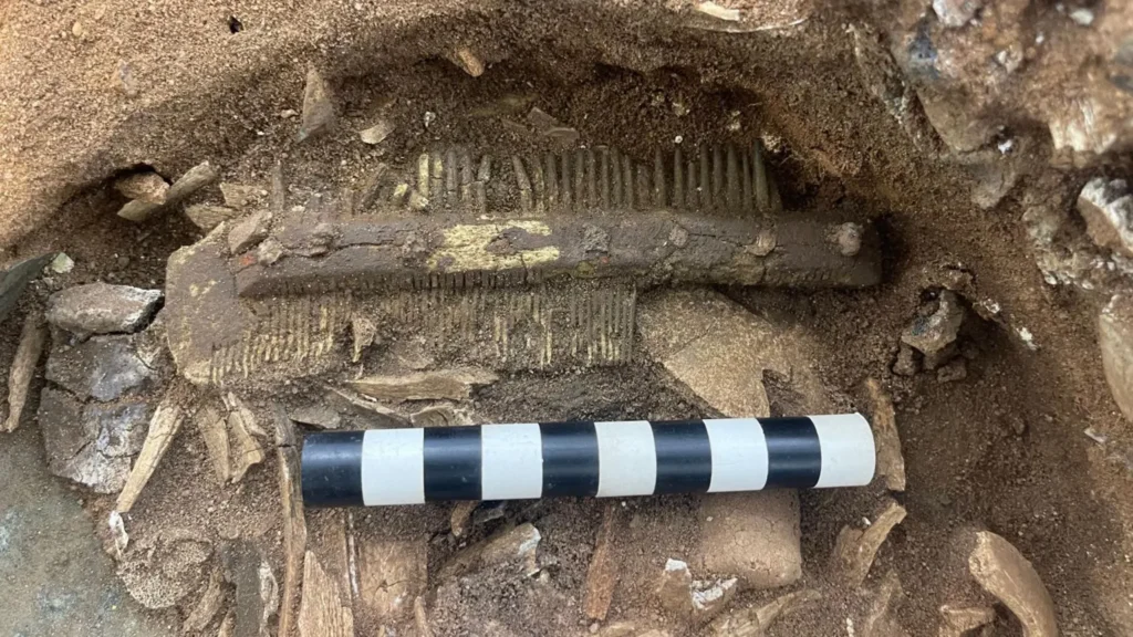 The comb was found unburnt, likely due to it being made from antler Credit: David Brunetti/National Trust