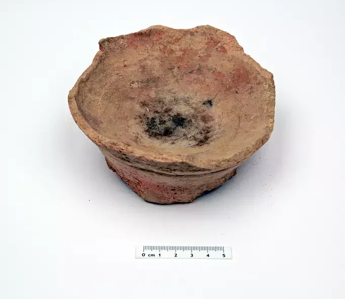 One of the archaeological fumigation artifacts used in the burning and inhalation of Peganum harmala (harmal). Credit: Hans Sell