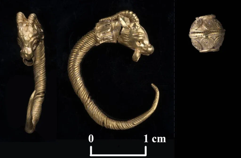 A gold earring and a decorative gold bead from the same Hellenistic period, uncovered in the City of David. Credit: Clara Amit, Israel Antiquities Authority