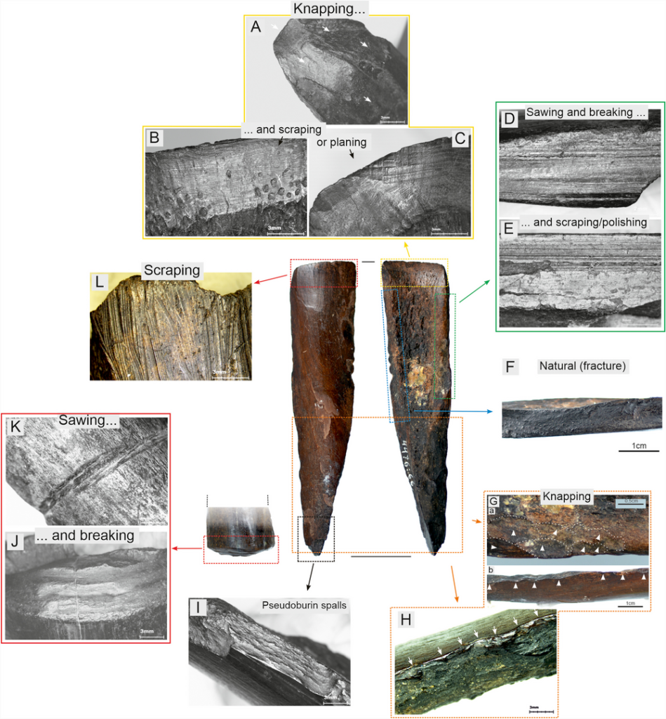 Different uses leave distinct microscopic traces on bone tools. Credit: Grzegorz Osipowicz jt/Archaeological and Anthropological Sciences