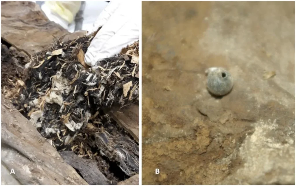 Researchers found material (left) such as small wood chips and flax fabric stuffed inside the mummified remains, and a glass sphere was discovered inside the left pelvis. Credit: Andreas Nerlich