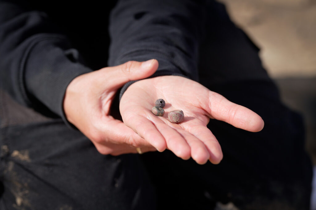 Glass and decorative beads recovered from the Viking burials. Credit: Moesgaard Museum