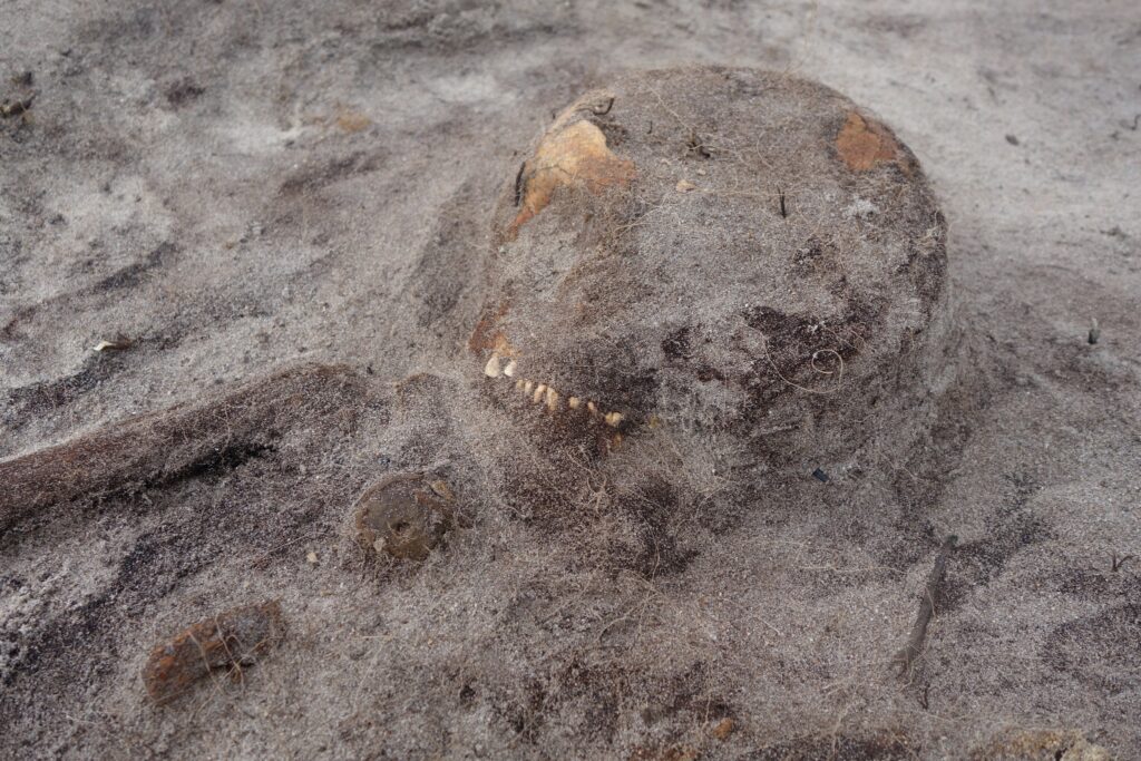 A ring-shaped pendant was discovered near the skull, possibly once attached to an earring or decorative headpiece. Credit: The Arctic University Museum of Norway, UiT (Facebook)