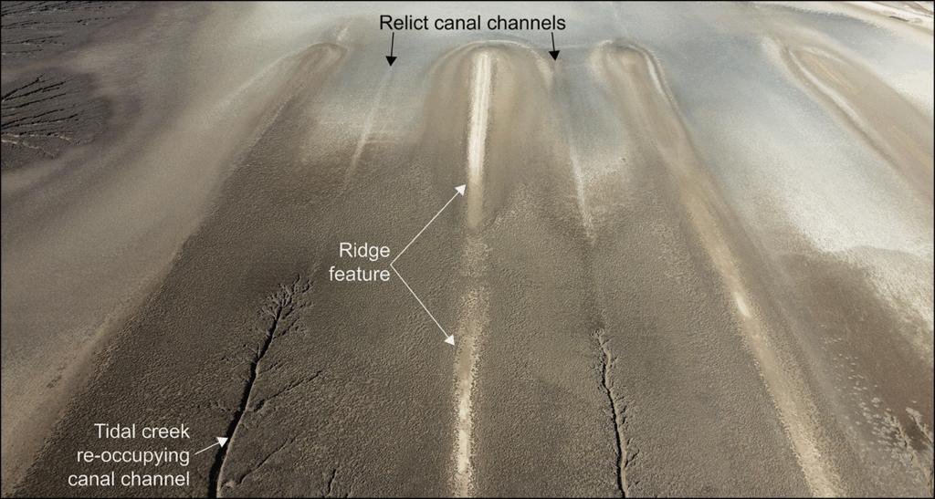 Drone photograph looking north-west showing ridge features with parallel relict canal channels in the interspersing flat areas. Credit: Antiquity- doi:10.15184/aqy.2025.72