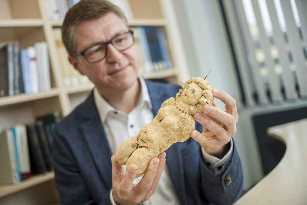 Clay figurines that were bound or pierced were intended to amplify the curse, as were wrapping the tablet around bones or adding dead animals. Credit: Damian Gorczany
