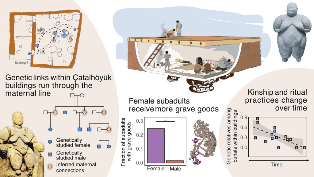Shown are two Çatalhöyük figurines (credit: Mellaart International and the British Institute at Ankara). Centre: reconstruction of a typical Çatalhöyük building (credit: Kathryn Killackey). Left: Building 6 with six genetically studied burials (blue on building map) and their genetic connections (lines), and their inferred pedigree. Centre: Grave good frequencies and a stylized female infant burial with beads shown in purple. Lower right: The frequency of genetic relatives within 15 buildings, spanning about 500 years (bottom right).
